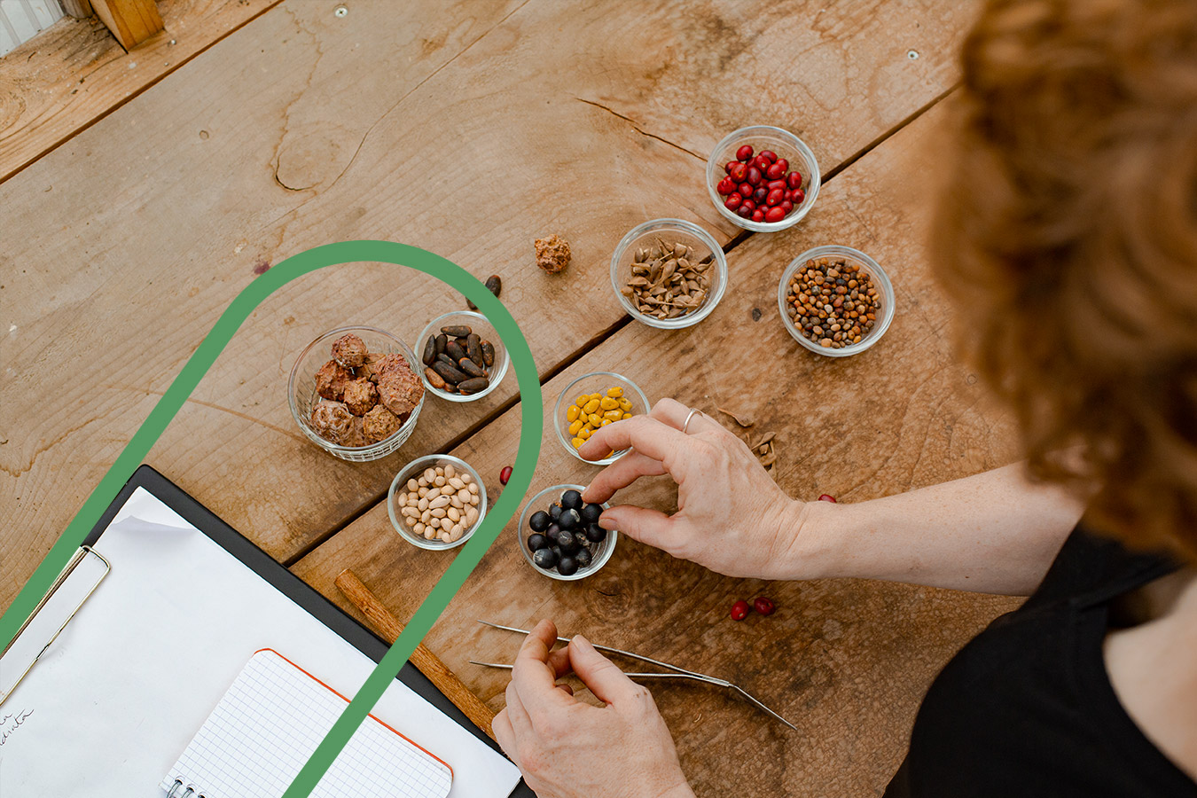 accueil-header-florama